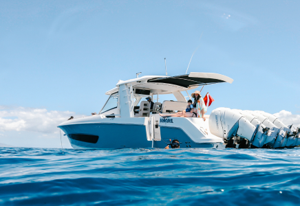 Luxury Turtle Snorkel Cruise Luxury Turtle Snorkel Cruise
