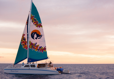 Waikiki Turtle Snorkel Sail