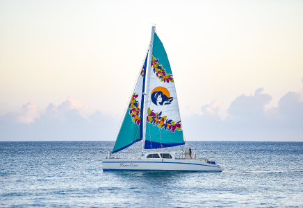 Waikiki Turtle Snorkel Sail