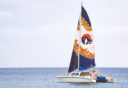 West Oahu Deluxe Dolphin Watch Sail