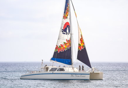 Waikiki Turtle Snorkel Sail