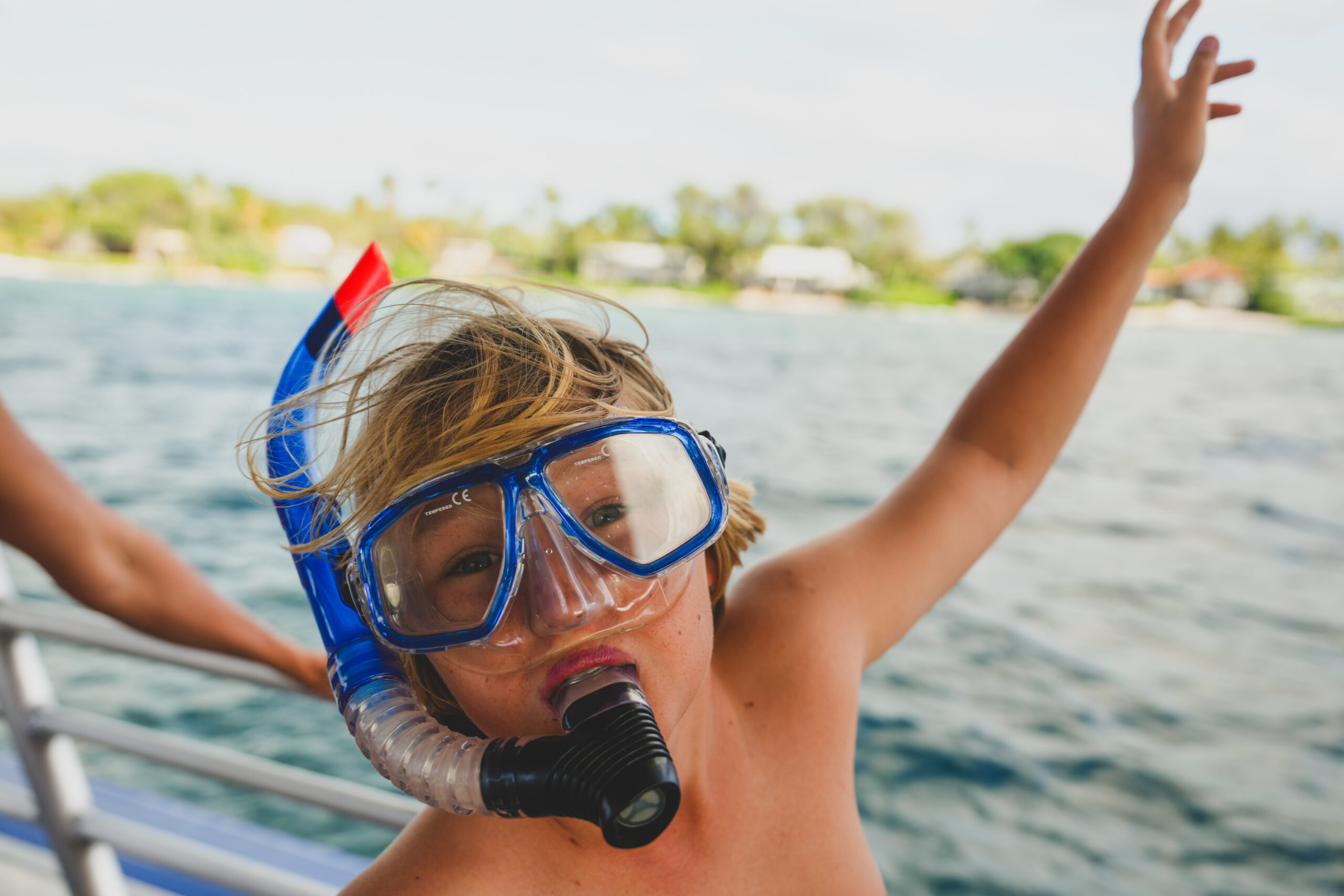 Turtle-Snorkel-Sail