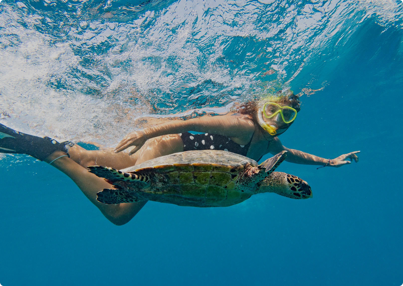Mauna Kea Two-Stop Sealife Snorkel
