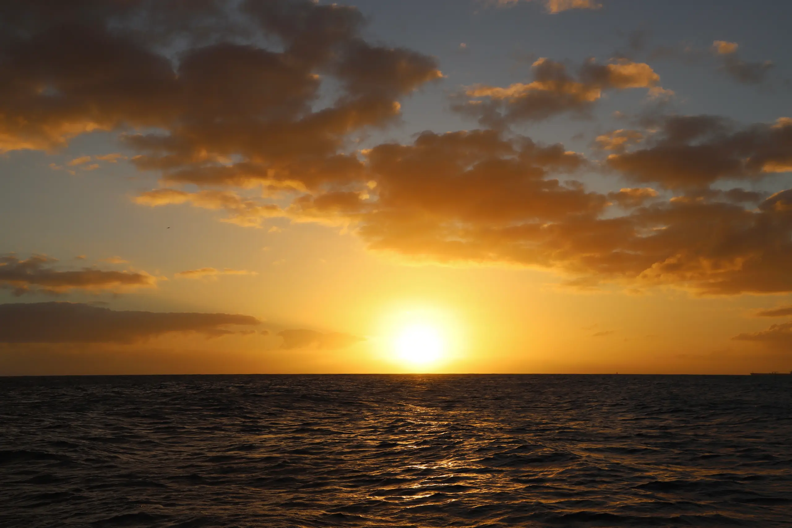 Sunset photo