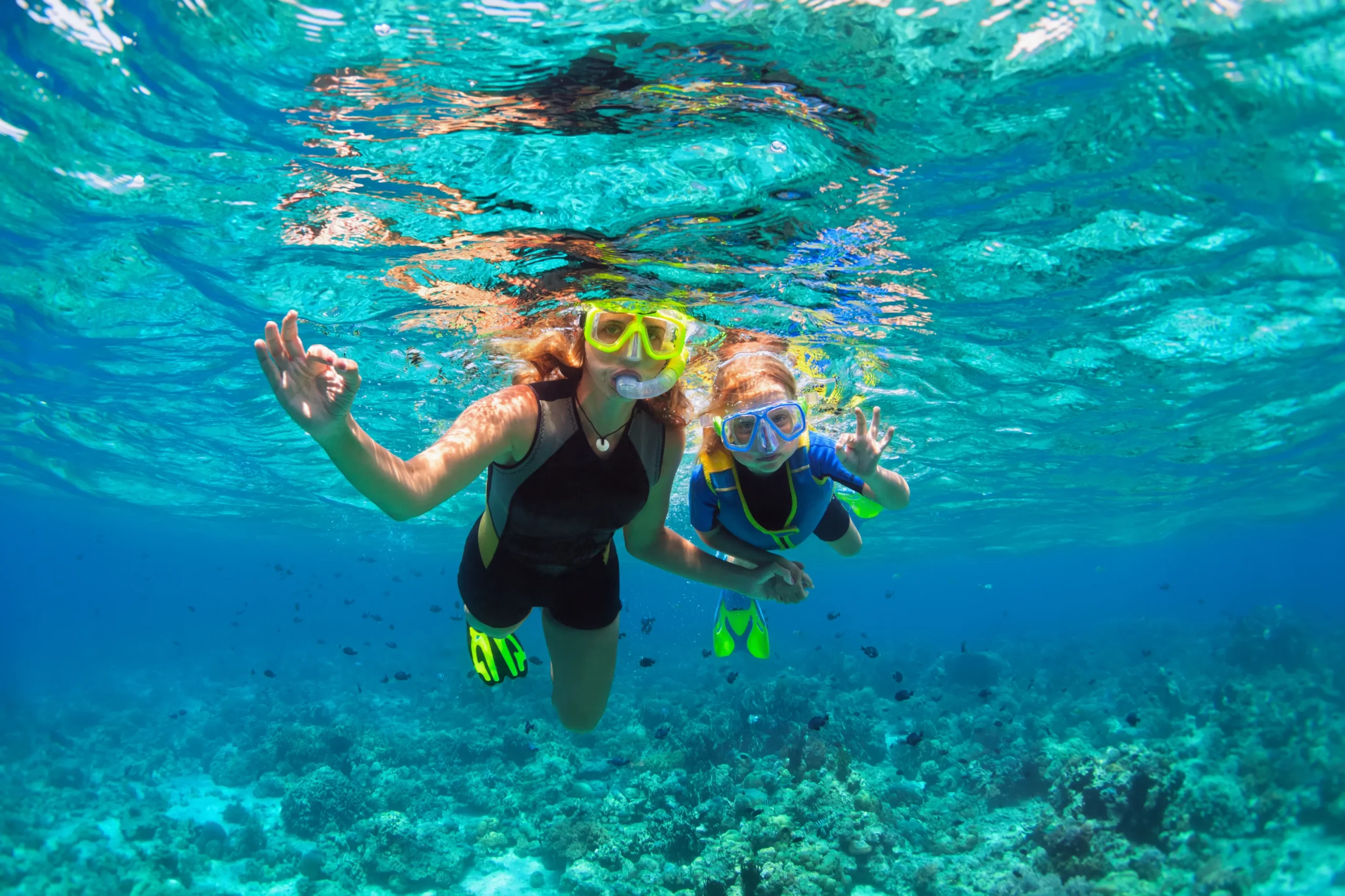 Waikiki Turtle Snorkel Sail
