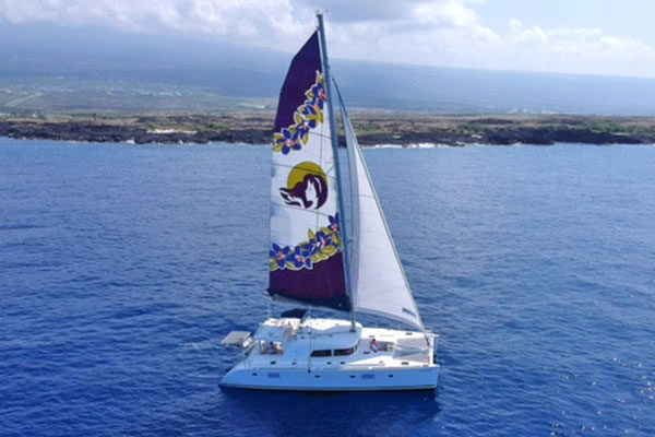 hawaii-no-wiki