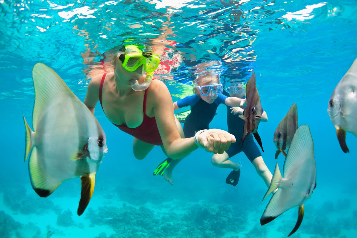 Kona Turtle Snorkel Sail With Lunch