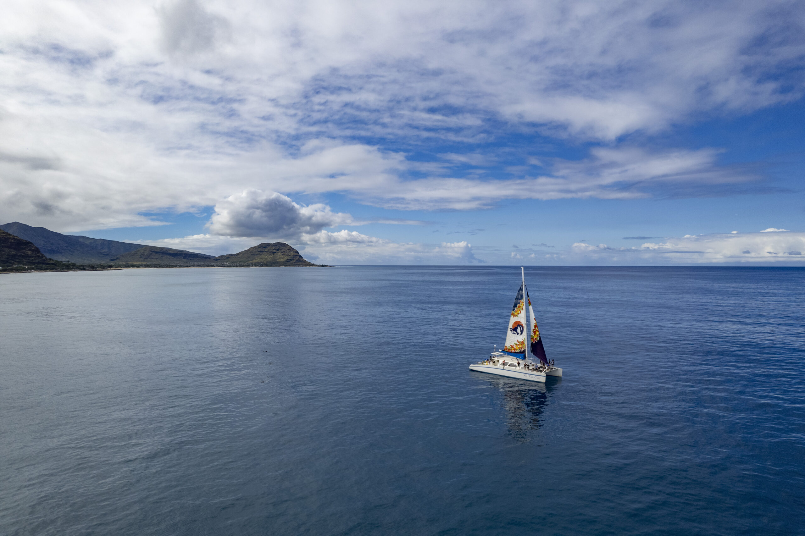 Turtle-Snorkel-Sail